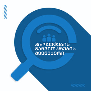 პროექტების განვითარების მეენეჯერი